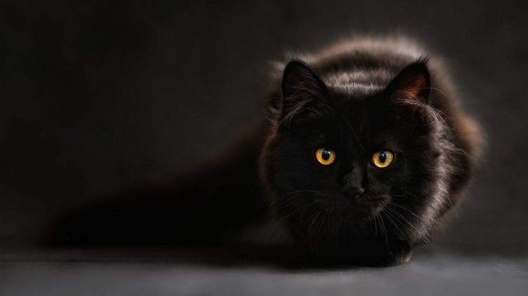 Гадания на Крещение в ночь с 18 на 19 января 2020 года