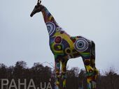 Тигры купаются в снегу, а слон во время сирен берет хоботом мяч . Как Киевский зоопарк живет в блэкаут