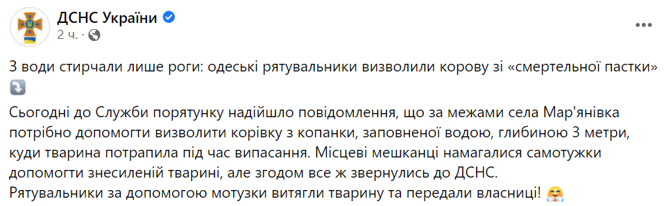 Одесские спасатели спасли корову