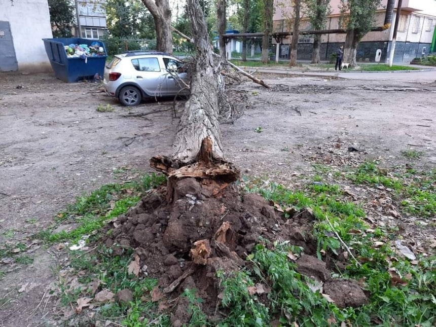 В Николаеве на авто упало дерево