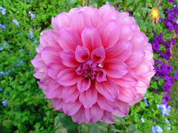 скрин с Facebook