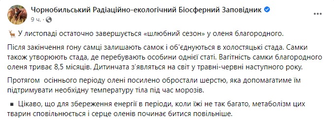 Скриншот из Фейсбука Чернобыльского заповедника 