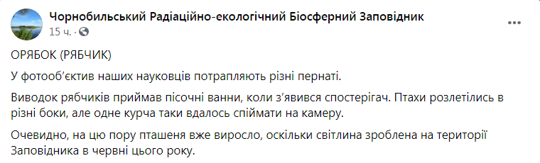 Скриншот из Фейсбука Чернобыльского заповедника