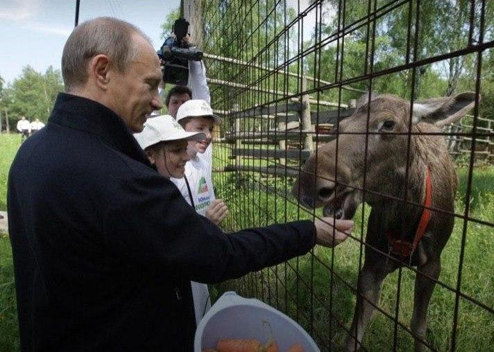 Фото:&nbsp;20.kremlin.ru