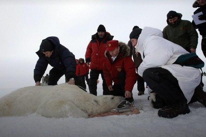 Фото:&nbsp;20.kremlin.ru