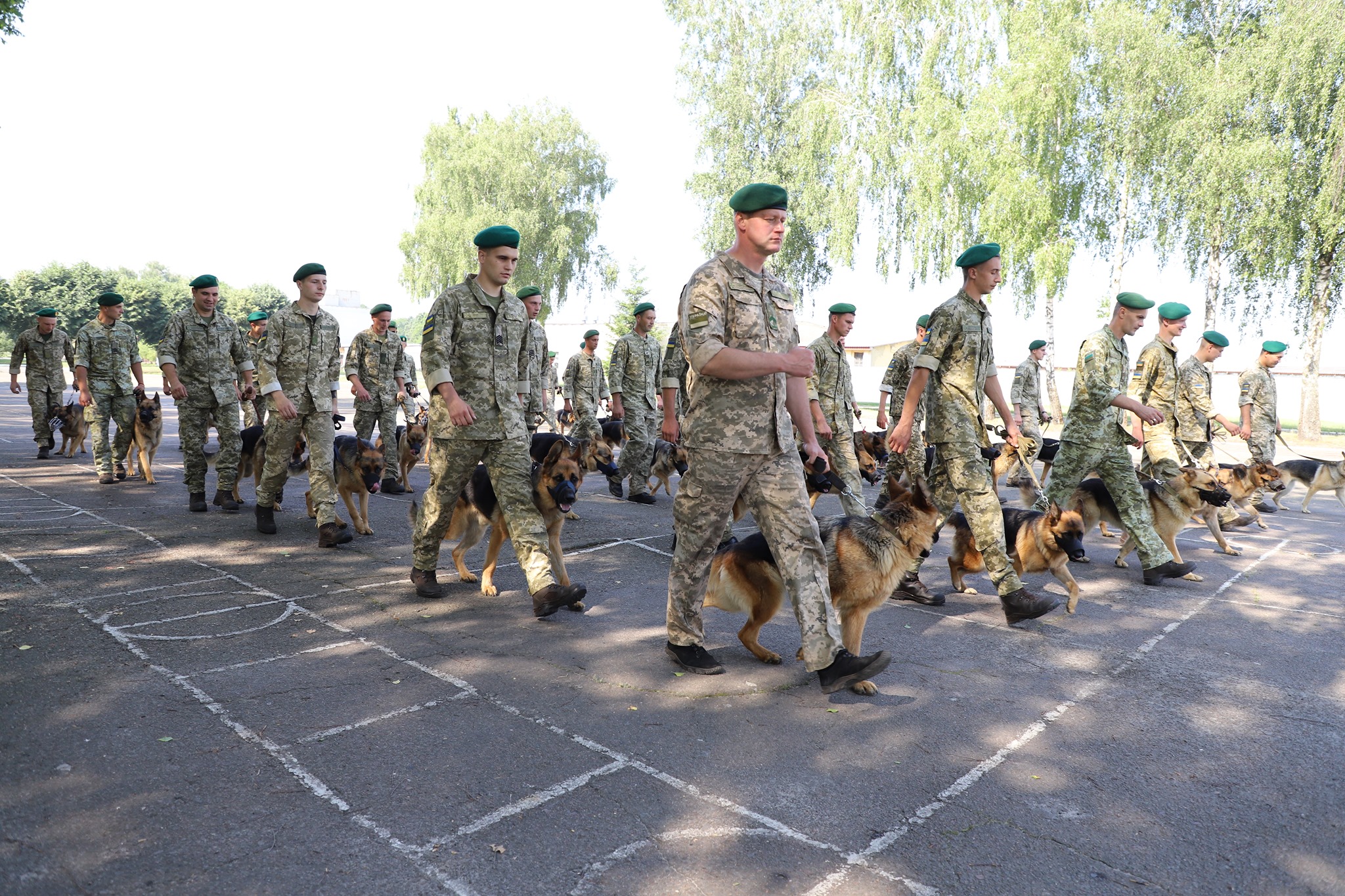 В параде к 30-летию Независимости будут участвовать собаки, которые помогают пограничникам искать наркотики