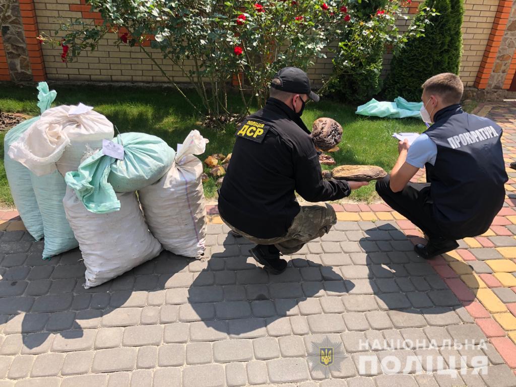 Фото: Нацполиция Украины