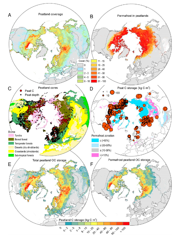 Фото: Proceedings of the National Academy of Sciences
