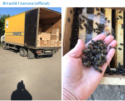 При перевозке Укр почтой погибли пчелы. Скриншот из телеграмм-канала журналиста Виталия Глаголы