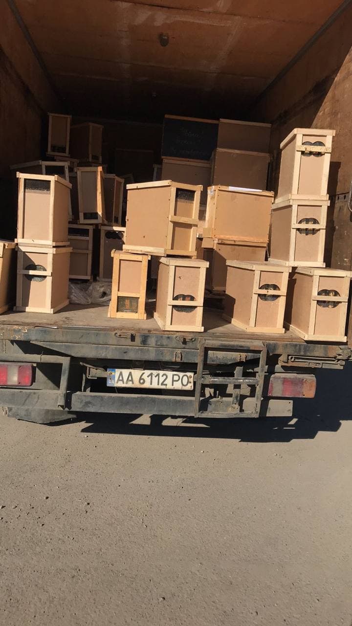 При перевозке Укр почтой погибли пчелы. Скриншот из телеграмм-канала журналиста Виталия Глаголы